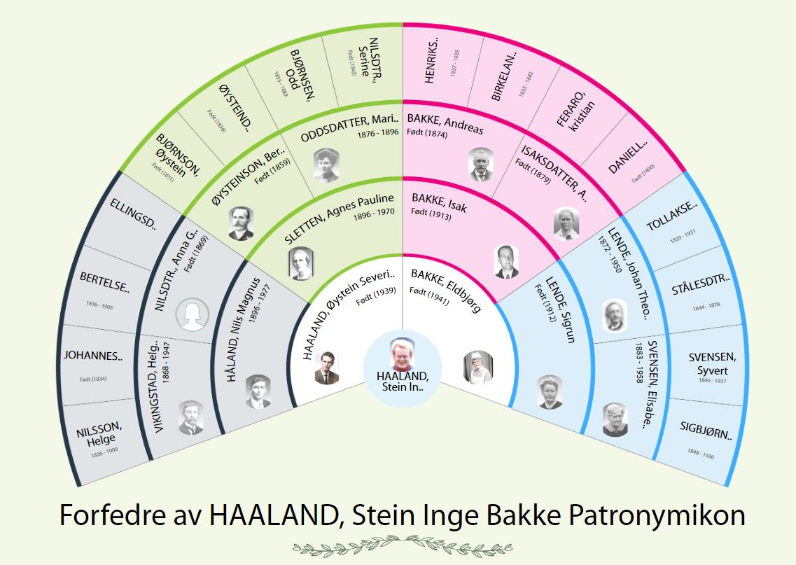Change the root person from the fan chart.