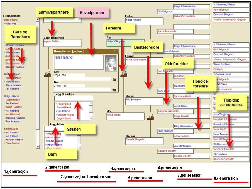 Navigate to the tree overview