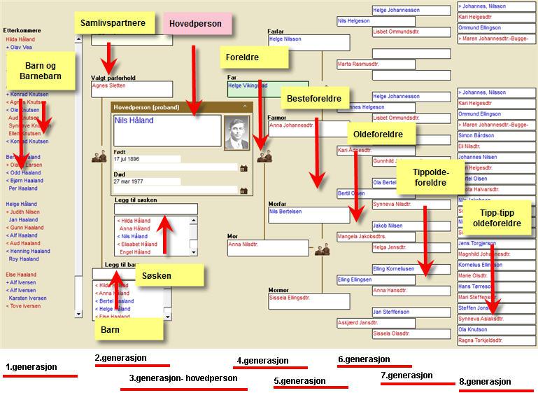 Tree editor – Overview
