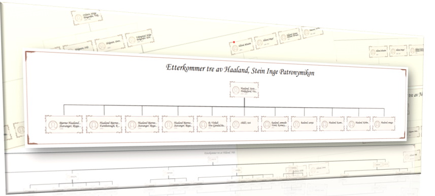 Descendent report: Unveiling your family tree’s legacy
